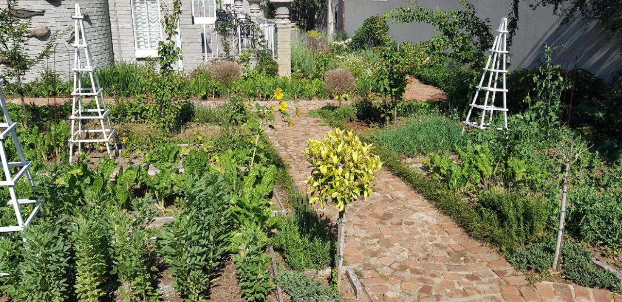 Villa Moi Johannesburg Exterior foto